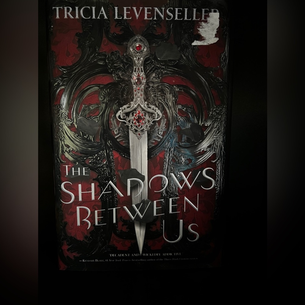 Shadow Between Us book